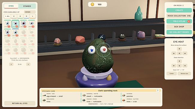 Pet Rock Workshop