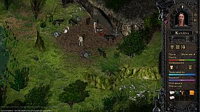 Desires of the Amazons