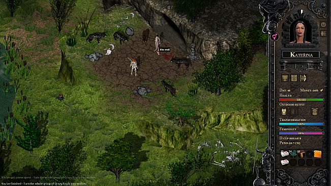 Desires of the Amazons