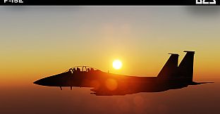 DCS: F-15E