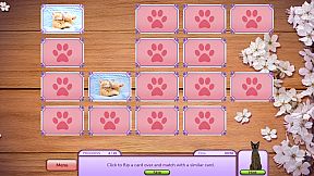 I Love Finding MORE Cats