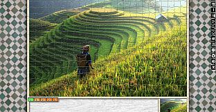 Jigsaw Puzzle Pack - Pixel Puzzles Ultimate: Variety Pack 11