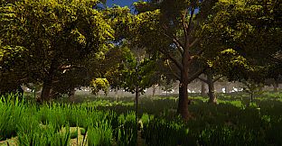Uncanny Islands