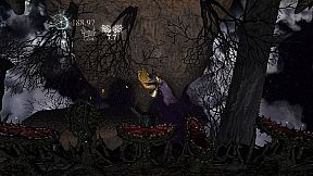 The Prisoner of the Night