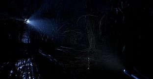 Debt - Chasing Treasure