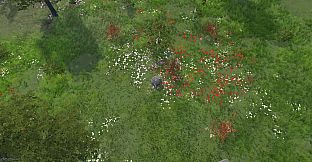 The Ball Flow - First Approach