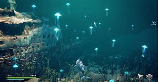 Echo: The dolphin story
