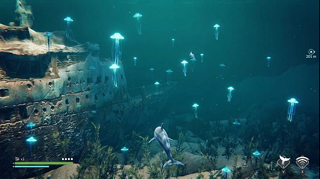 Echo: The dolphin story