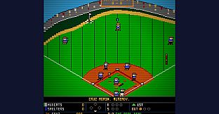 Bush League Baseball