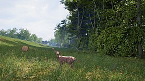 HIKE: Beyond the Trails