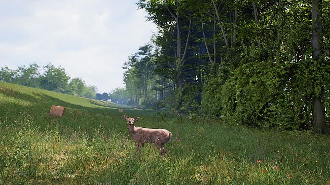 HIKE: Beyond the Trails