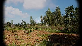 Russian Soul Simulator