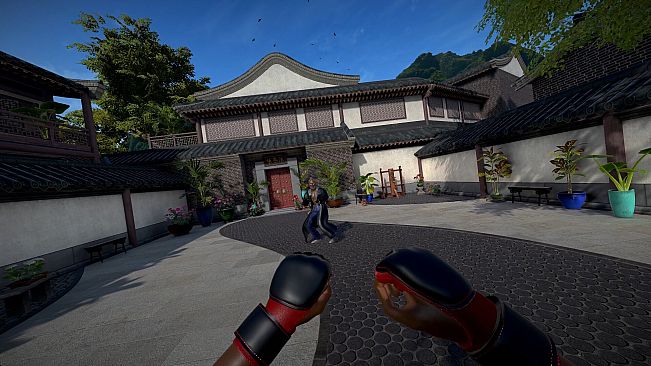 Dragon Fist VR - Western Warriors Fighter Forge Expansion Pack