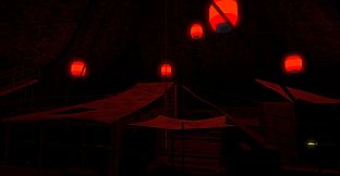 A Large Quantity Of Mushrooms