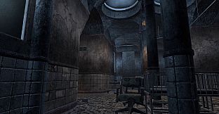 Absolute VR Experiences