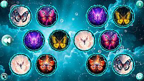 Space Memory: Butterflies