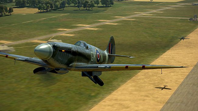 IL-2 Sturmovik: Spitfire Mk.XIV Collector Plane