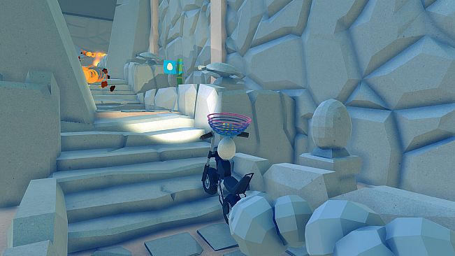 Eggcelerate! to the Tropics