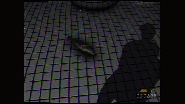 Backrooms: Poolrooms