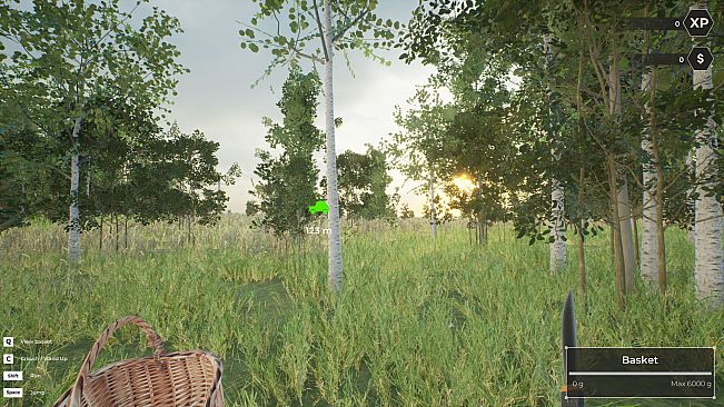 Mushroom Hunter World