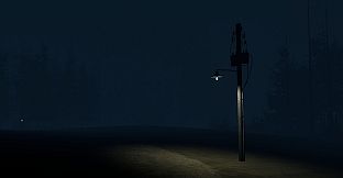 Stray Light