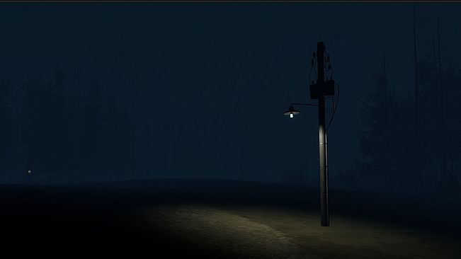 Stray Light