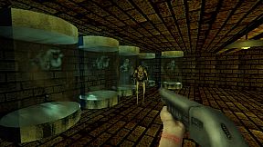 Dismantled Director's Cut