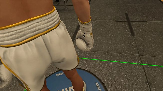 The Thrill Of The Fight 2 - Reigning Champion Gloves