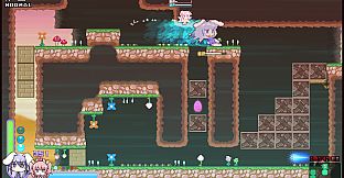 Rabi-Ribi - Is the order a DLC?