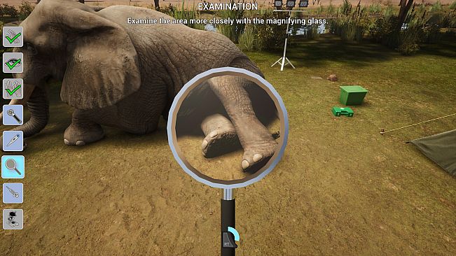 My Life: Safari Vet