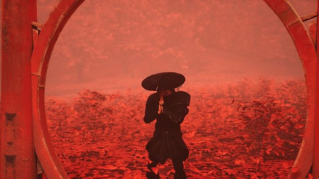 Ninja Resurrection: A tale of Kuro