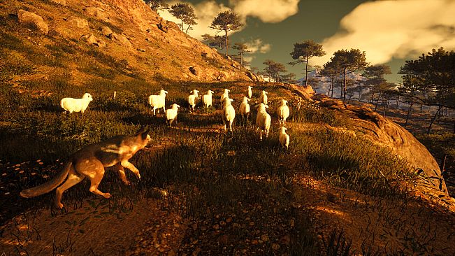 Medieval Shepherd