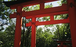 Lushfoil Photography Sim