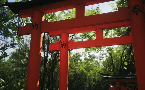 Lushfoil Photography Sim