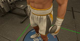 The Thrill Of The Fight 2 - Reigning Champion Shorts