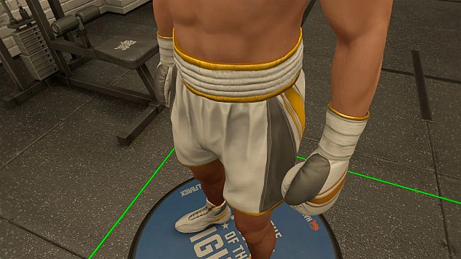 The Thrill Of The Fight 2 - Reigning Champion Shorts
