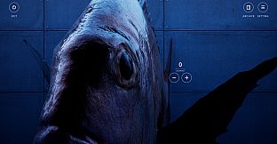 OKAZU - Fish Counting Chill Game -