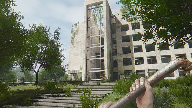 In rays of the Light