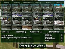 Flower Shop: Summer In Fairbrook