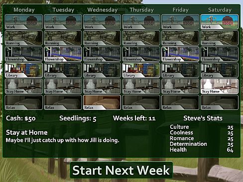 Flower Shop: Summer In Fairbrook