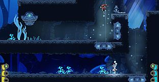 Our Passing Thoughts