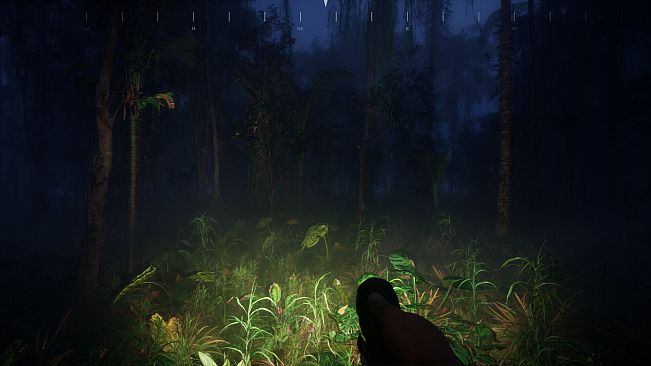 Saci: The Cursed Hunt