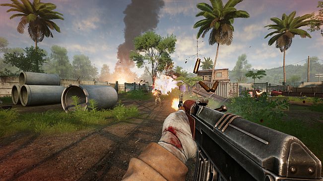 Military Conflict: Vietnam