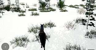 Horse Spirit Valley 2