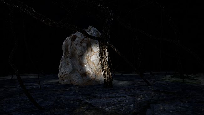 The Woods