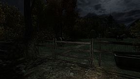 The Cows Are Watching