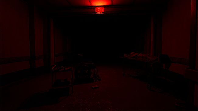 The Hospital of Fear