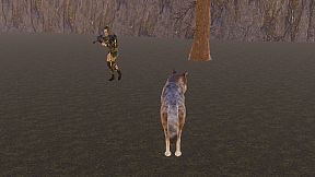 The Wolf's Hunt