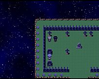 杉木花与风信子 Fir flowers and hyacinths