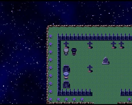 杉木花与风信子 Fir flowers and hyacinths